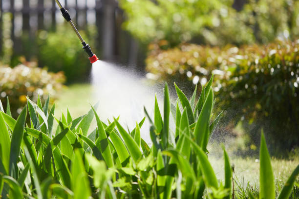 24/7 Emergency Mosquito Control experts in Odessa, MO
